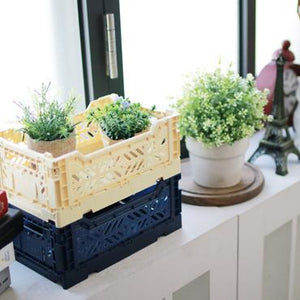 Folding Crate - Mini - Black