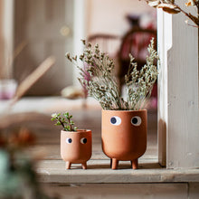Load image into Gallery viewer, Leggy Terracotta Planter
