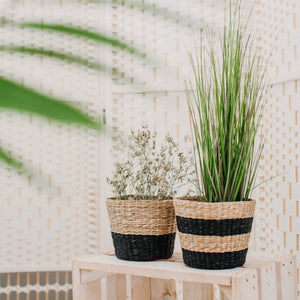 Black Dip Seagrass Planter