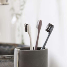 Load image into Gallery viewer, Meraki - Set Of 3 Pcs Toothbrush

