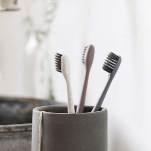 Meraki - Set Of 3 Pcs Toothbrush