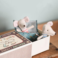 Load image into Gallery viewer, Baby mice, Twins in box
